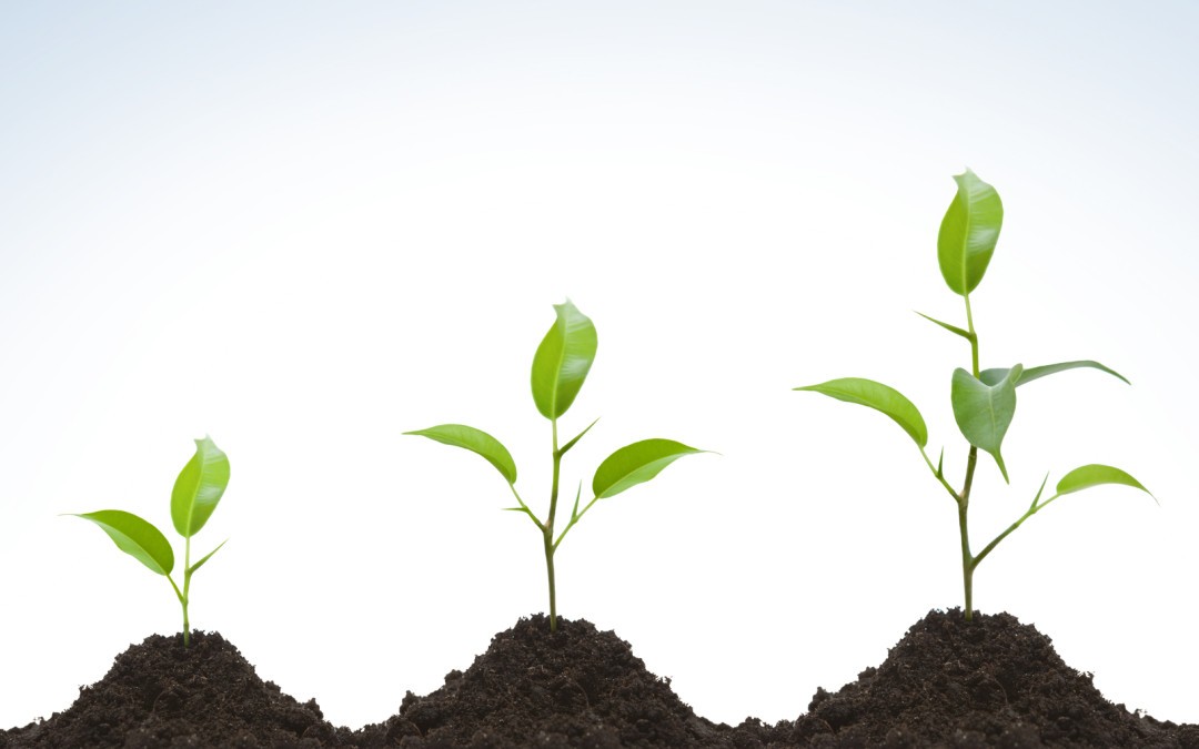 Double Your Company Revenue With Us